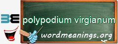 WordMeaning blackboard for polypodium virgianum